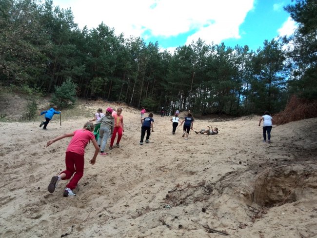 Jesienne harce w lesie - zdjęcia