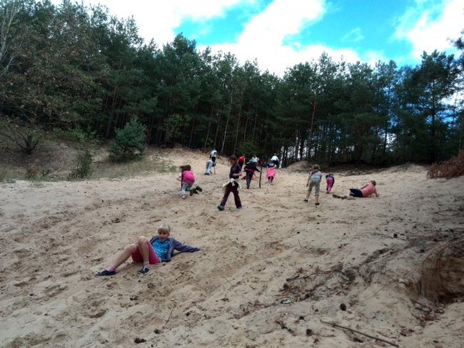 Jesienne harce w lesie - zdjęcia