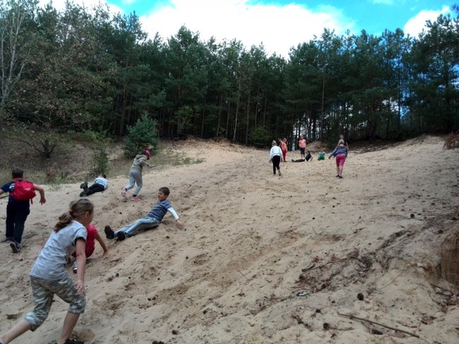 Jesienne harce w lesie - zdjęcia