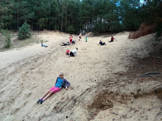 Jesienne harce w lesie - zdjęcia
