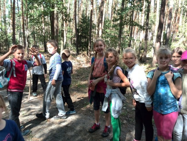 Jesienne harce w lesie - zdjęcia