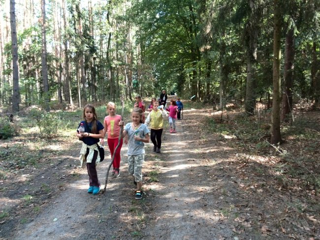 Jesienne harce w lesie - zdjęcia