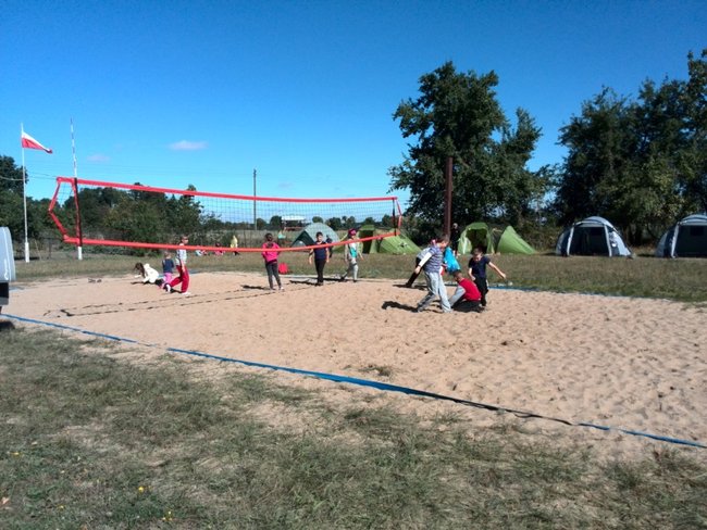 Jesienne harce w lesie - zdjęcia