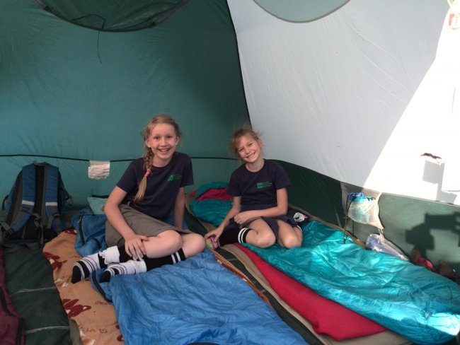 Jesienne harce w lesie - zdjęcia