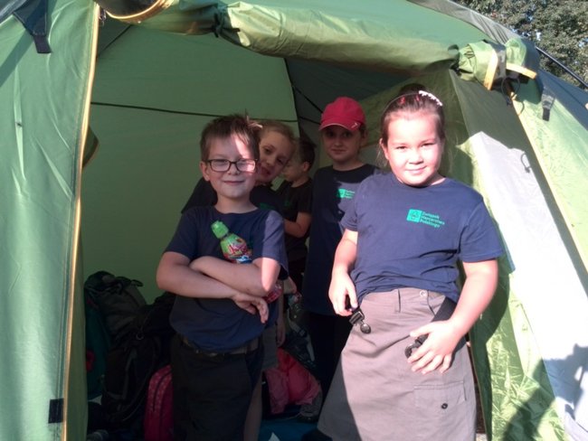 Jesienne harce w lesie - zdjęcia