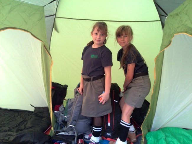 Jesienne harce w lesie - zdjęcia