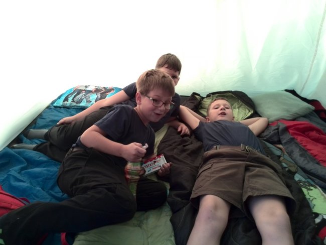 Jesienne harce w lesie - zdjęcia