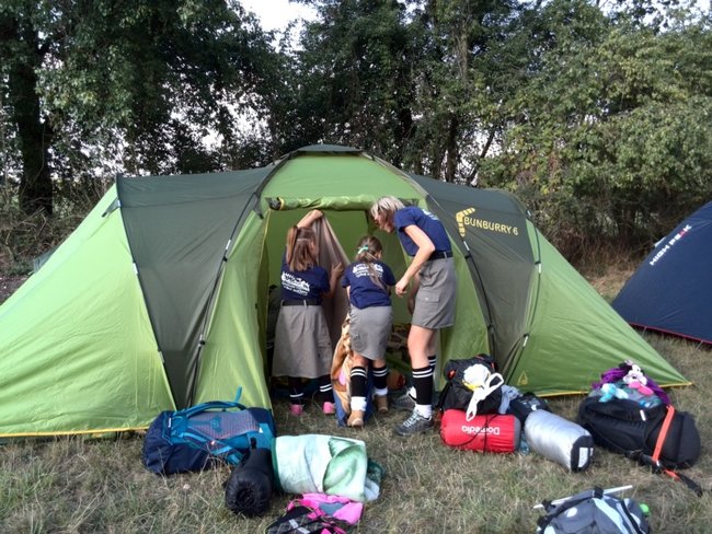 Jesienne harce w lesie - zdjęcia