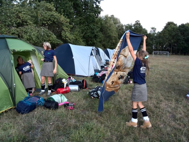 Jesienne harce w lesie - zdjęcia