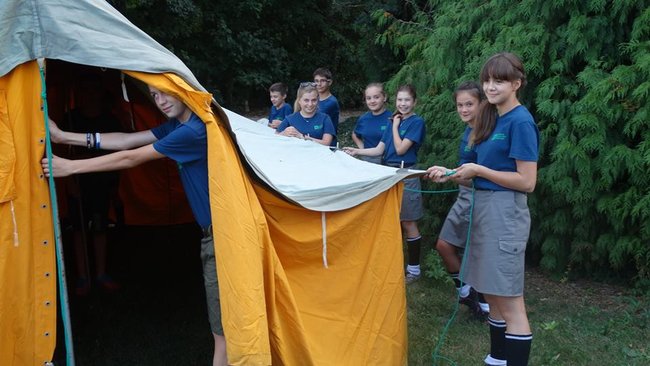 Jesienne harce w lesie - zdjęcia