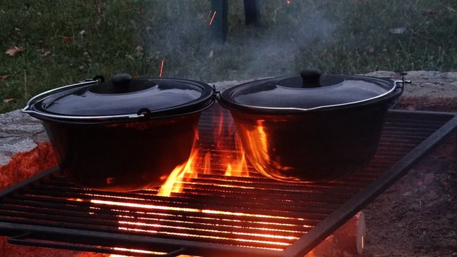 Jesienne harce w lesie - zdjęcia