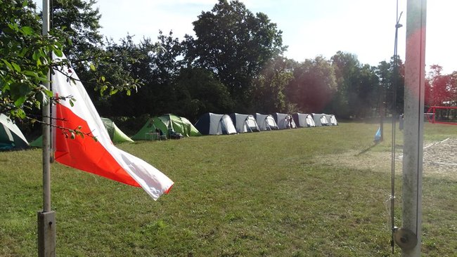 Jesienne harce w lesie - zdjęcia