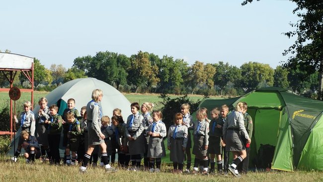 Jesienne harce w lesie - zdjęcia