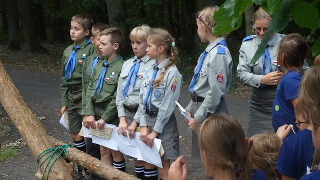 Jesienne harce w lesie - zdjęcia