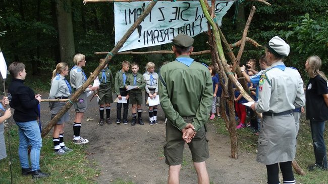 Jesienne harce w lesie - zdjęcia