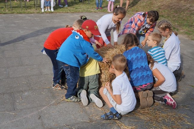 Z pyrą w roli głównej - zdjęcia