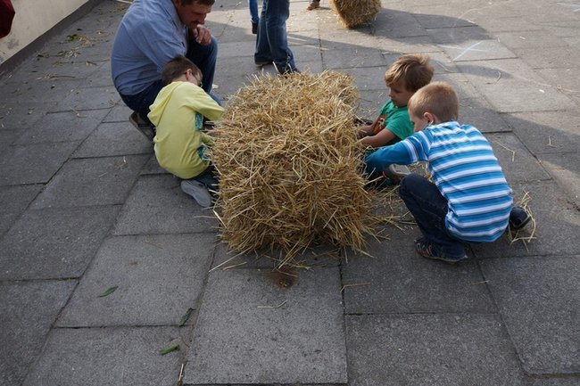 Z pyrą w roli głównej - zdjęcia