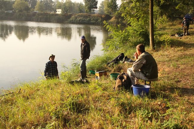 Leszcze zadecydowały ? zdjęcia