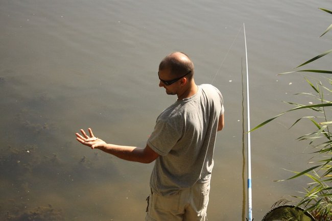 Leszcze zadecydowały ? zdjęcia