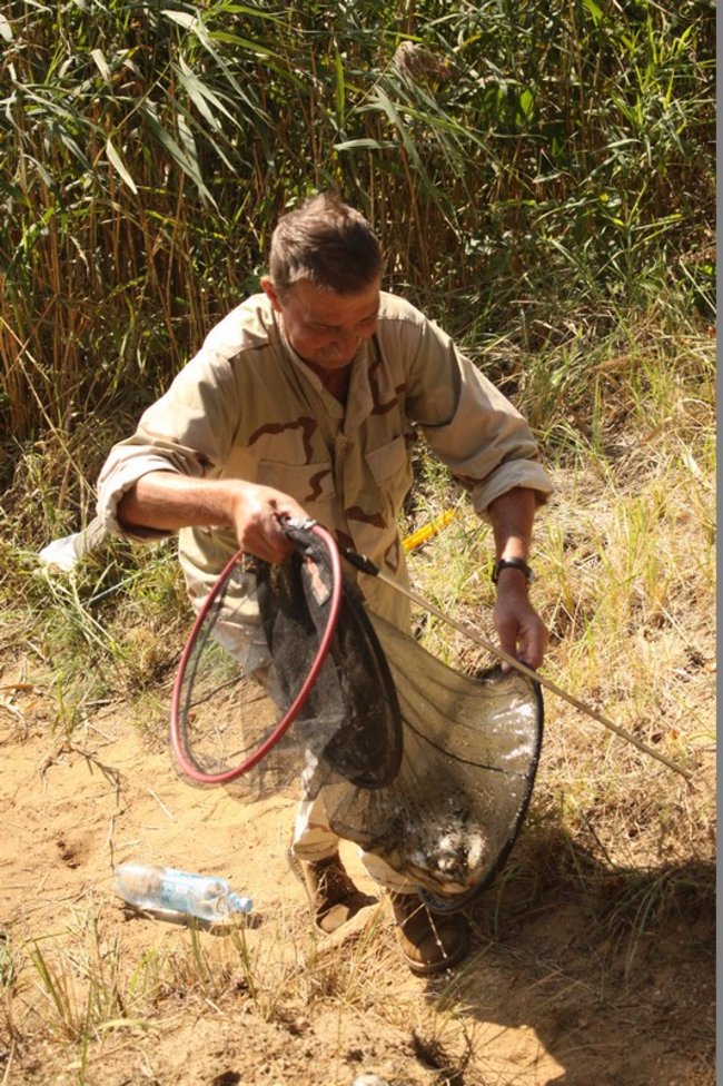 Leszcze zadecydowały ? zdjęcia