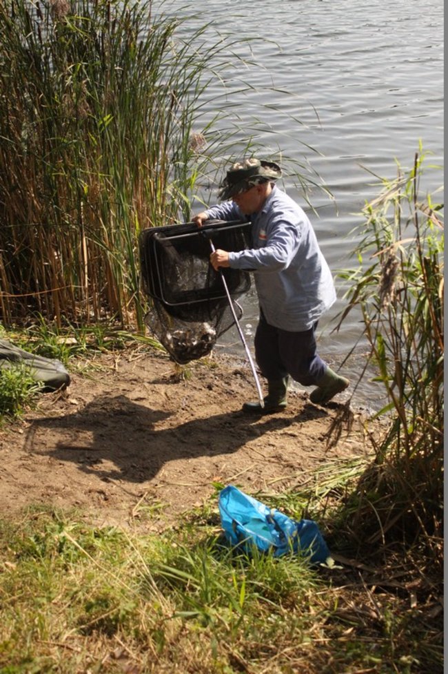 Leszcze zadecydowały ? zdjęcia