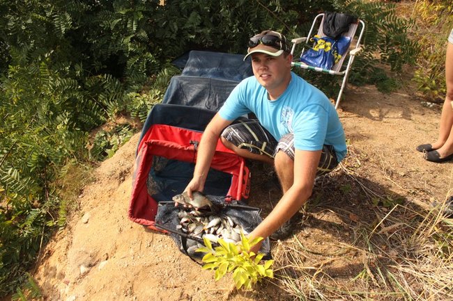 Leszcze zadecydowały ? zdjęcia