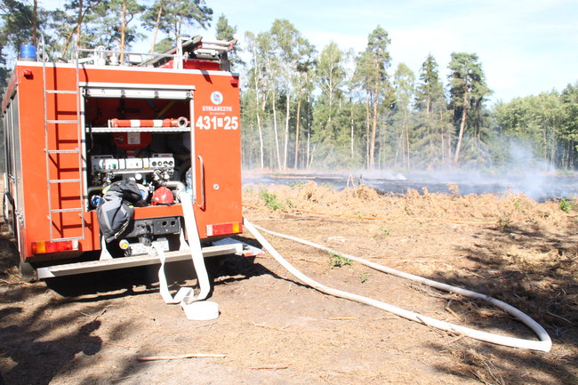 Pożar w środku lasu. Przypadek? - zdjęcia