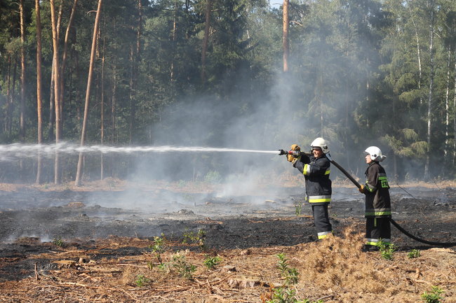 Pożar w środku lasu. Przypadek? - zdjęcia