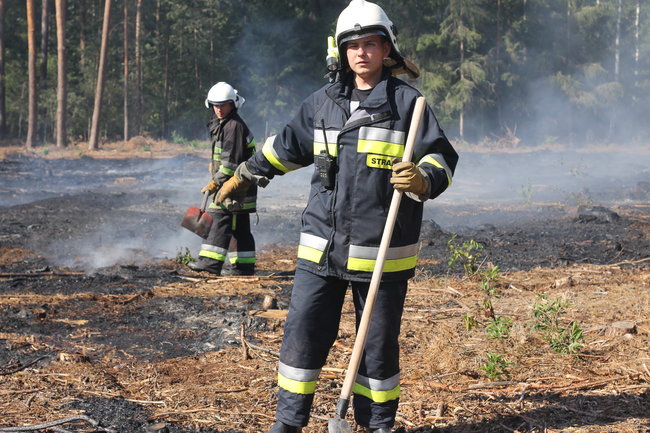 Pożar w środku lasu. Przypadek? - zdjęcia
