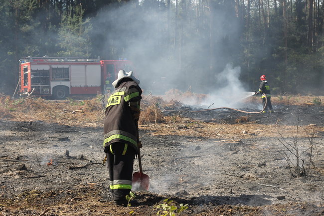 Pożar w środku lasu. Przypadek? - zdjęcia