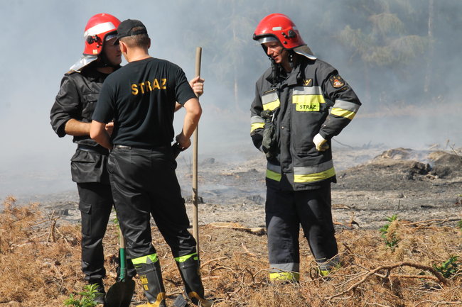 Pożar w środku lasu. Przypadek? - zdjęcia