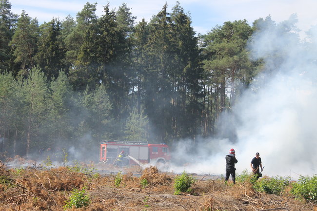 Pożar w środku lasu. Przypadek? - zdjęcia