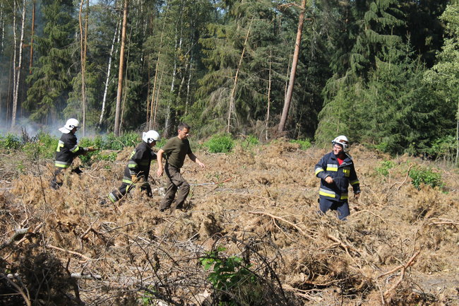 Pożar w środku lasu. Przypadek? - zdjęcia