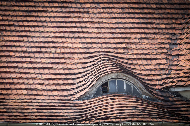 Tłum powitał prezydenta - fotorelacja