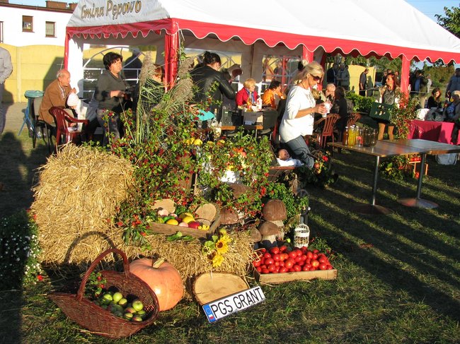 Jesienna eksplozja kolorów - zdjęcia