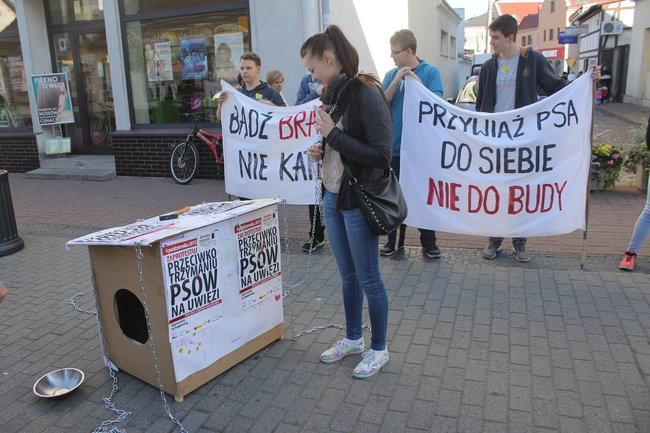 Poczuli to na własnej skórze - zdjęcia