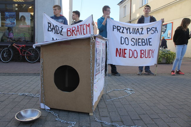 Poczuli to na własnej skórze - zdjęcia