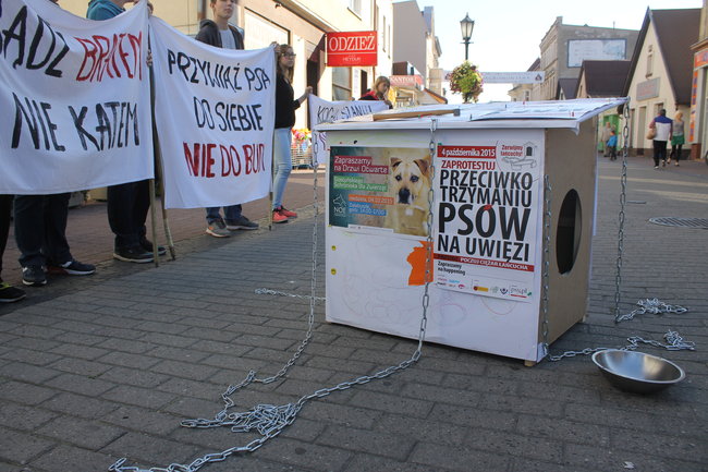Poczuli to na własnej skórze - zdjęcia