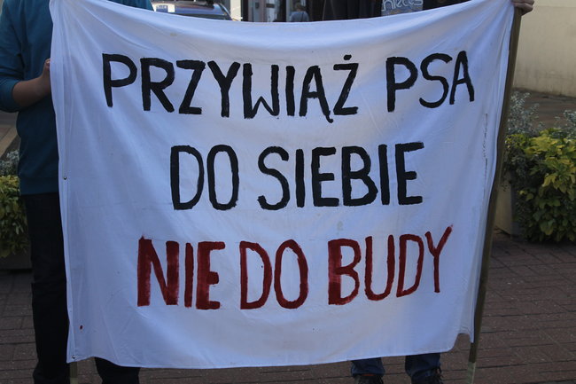 Poczuli to na własnej skórze - zdjęcia