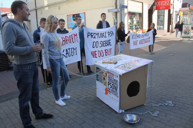 Poczuli to na własnej skórze - zdjęcia