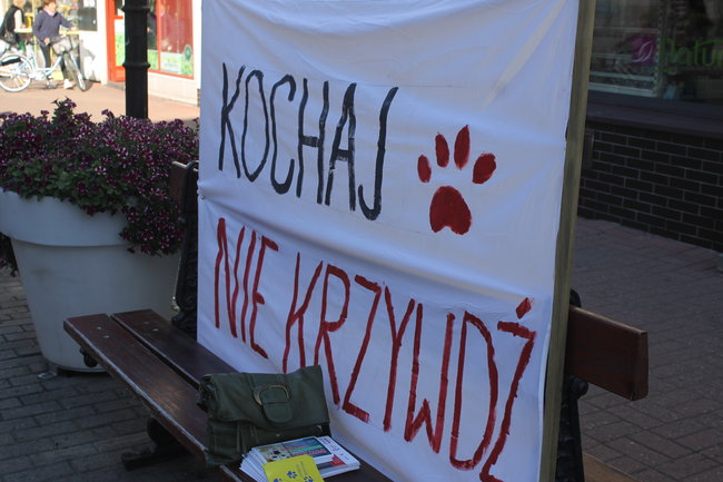 Poczuli to na własnej skórze - zdjęcia