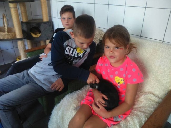 Schronisko pęka w szwach