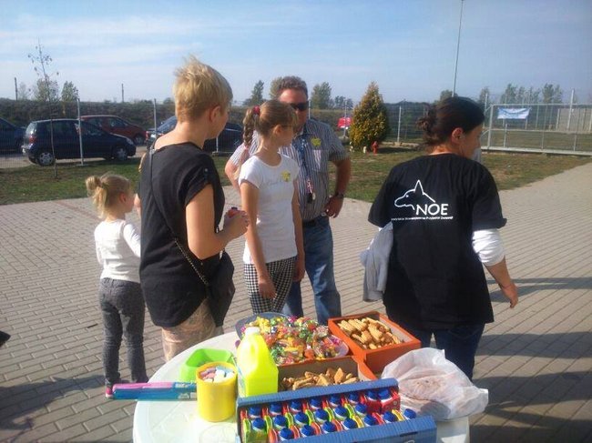 Schronisko pęka w szwach