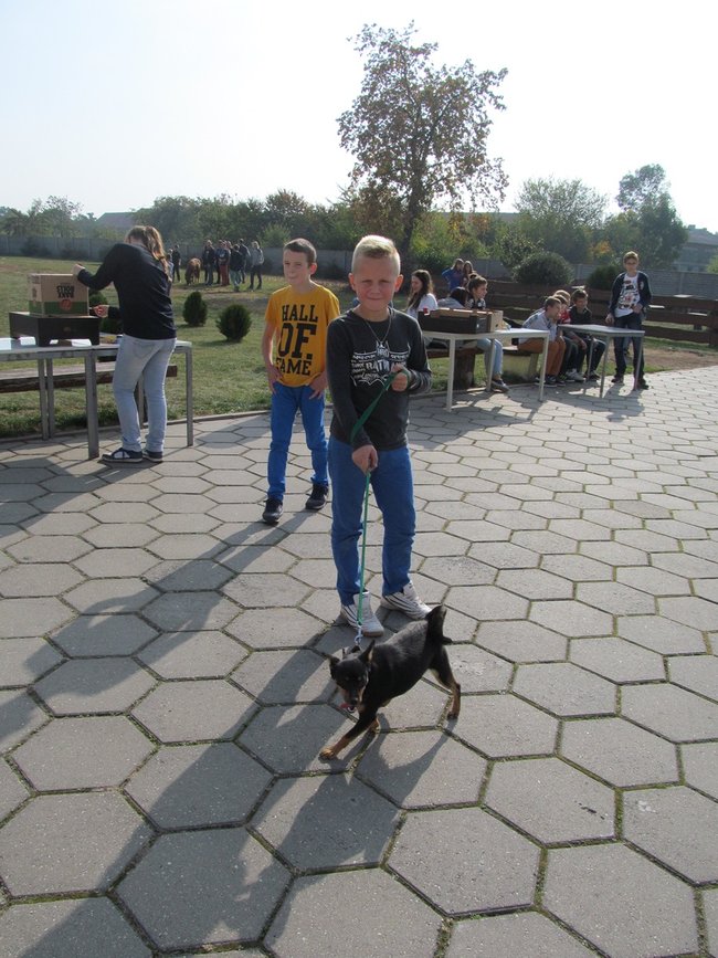 W szkole uczyli, jak dbać o pupili - zdjęcia