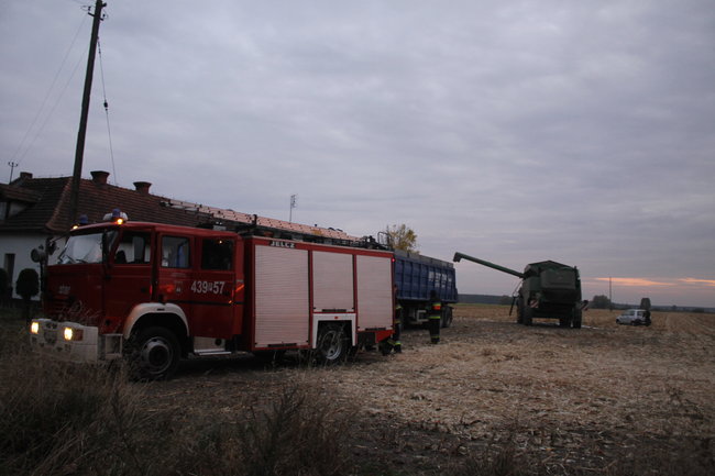 Pożar na polu kukurydzy - zdjęcia