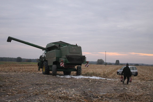 Pożar na polu kukurydzy - zdjęcia