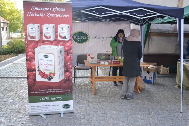 Dni Seniora czas zacząć! - zdjęcia