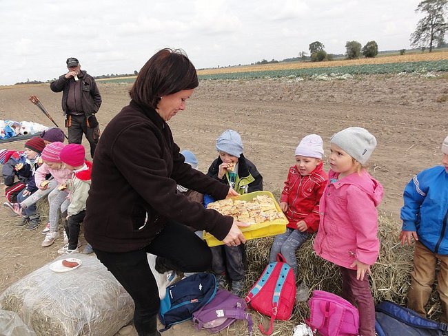 Przedszkolacy na wykopkach - zdjęcia