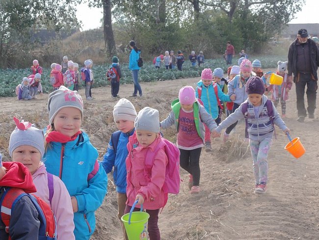 Przedszkolacy na wykopkach - zdjęcia