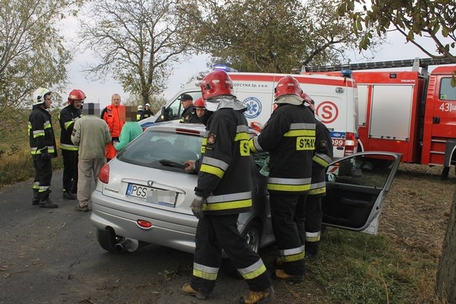 Podróż zakończona na drzewie - zdjęcia